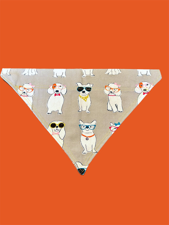 Dogs in Glasses & Bows