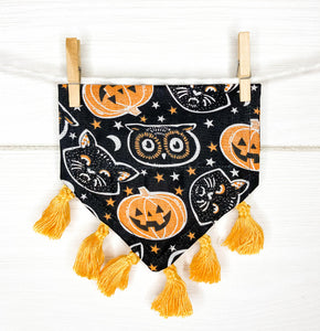 Halloween Owls, Black Cats & Pumpkins