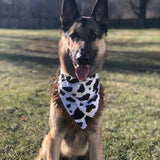 Cow Print Fringe Bandana